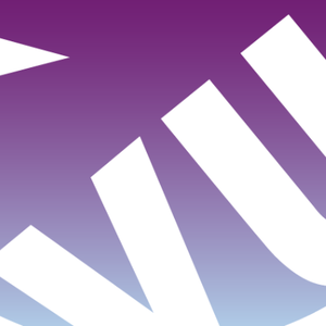 Value Unconditional Auction - 2025 - logo